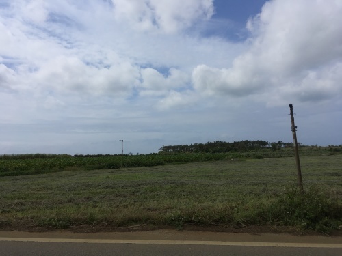 c0359294_22172964.jpeg