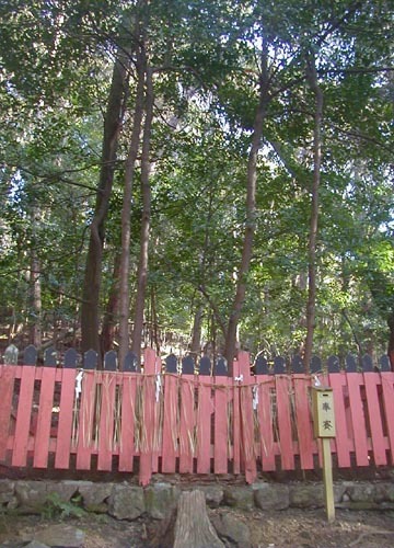 ●神社の造形―天神宮神社、その４_d0053294_00045298.jpg