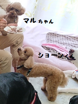 d0282395_01285920.png