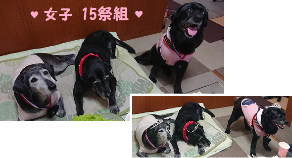 d0282395_02134392.png