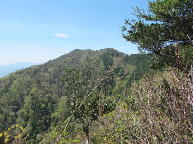 a0166196_22291210.jpg
