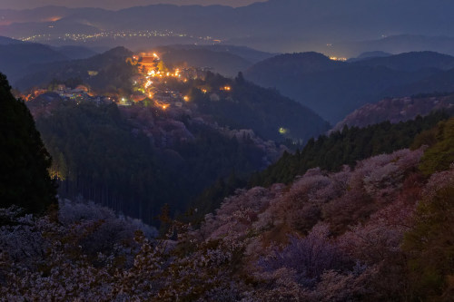 吉野山　～蒼い上千本 - katsuのヘタッピ風景