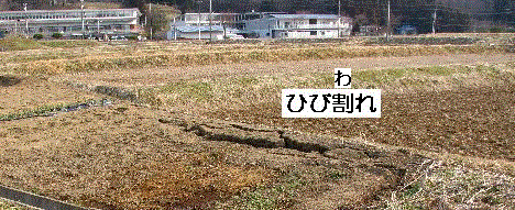d0364500_06243437.gif