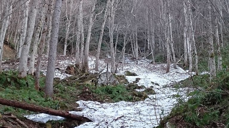 b0172805_01464454.jpg