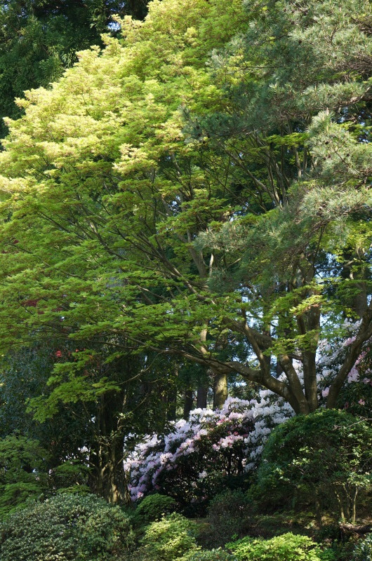 ちょっと遠くまで・・・（朝日町　護国寺）_d0359010_18561887.jpg