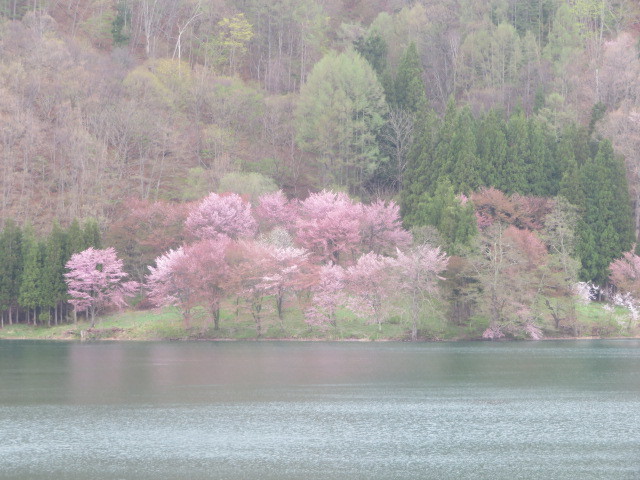 d0351213_08040318.jpg