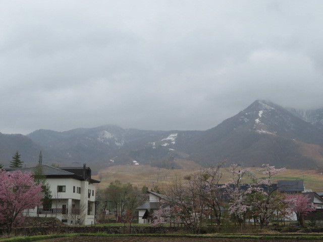 d0351213_08045161.jpg