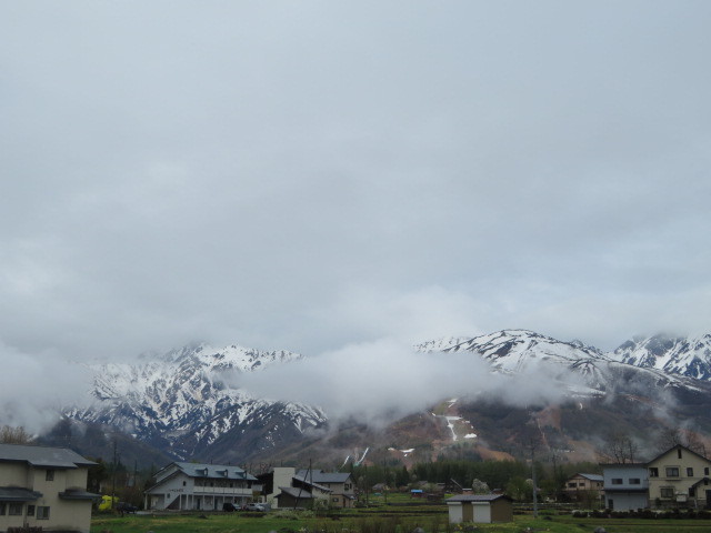 d0351213_17343009.jpg