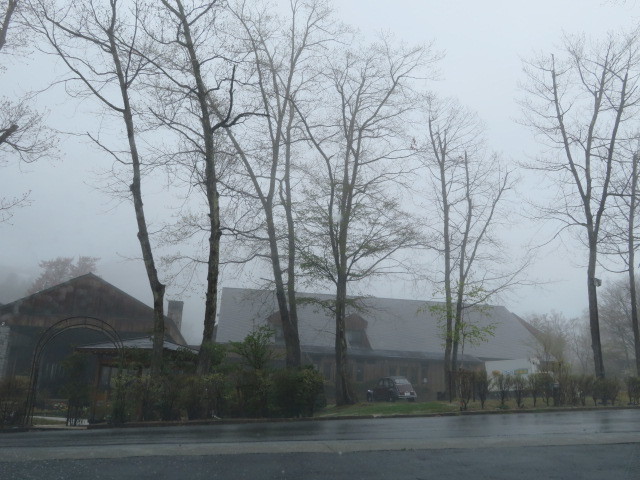d0351213_17345379.jpg