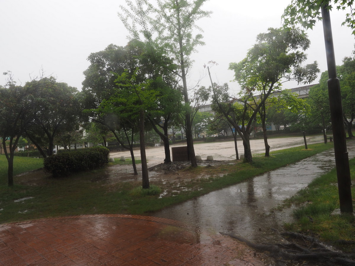 佐伯区民文化センター&五日市中央公園_c0116915_00014670.jpg