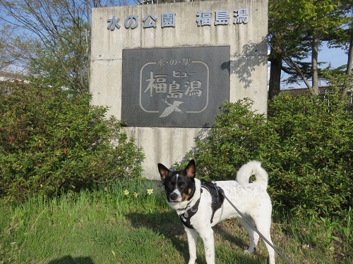 c0084117_19351438.jpg