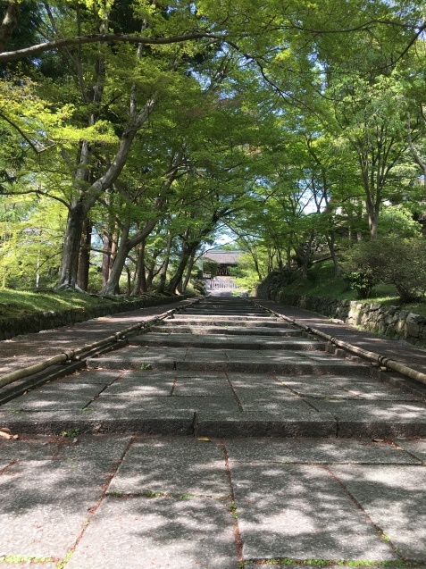 f0143521_00404959.jpeg