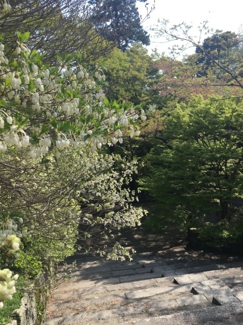 f0143521_01041291.jpeg