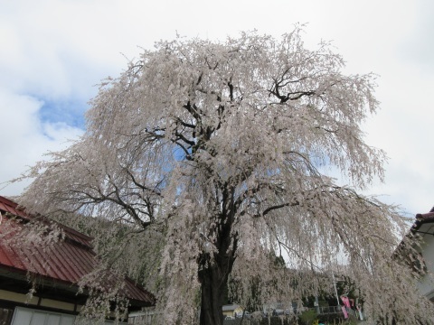f0149422_23185335.jpg