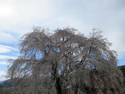 f0149422_23190912.jpg
