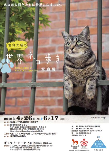 東川町文化ギャラリーにて写真展「岩合光昭の世界ネコ歩き」を開催します！_b0187229_20032373.jpg