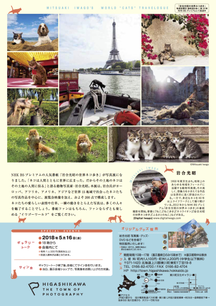 東川町文化ギャラリーにて写真展「岩合光昭の世界ネコ歩き」を開催します！_b0187229_20032385.jpg