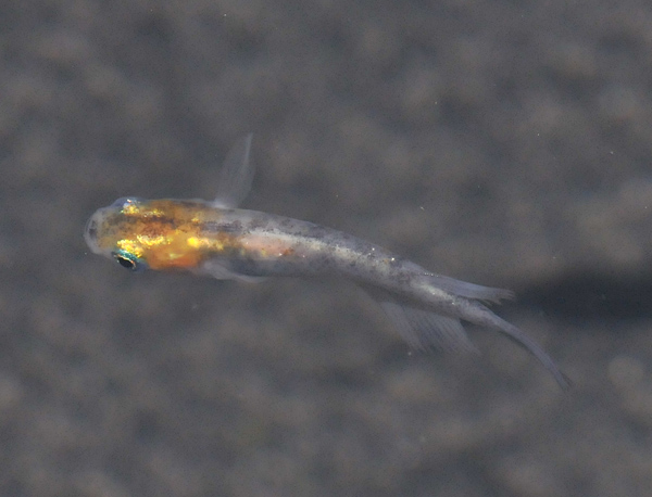 e0097534_175415.jpg