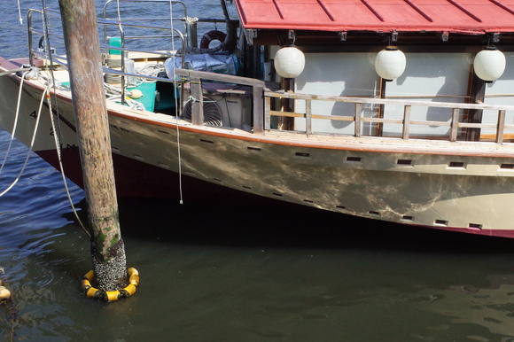 a0287336_2214486.jpg