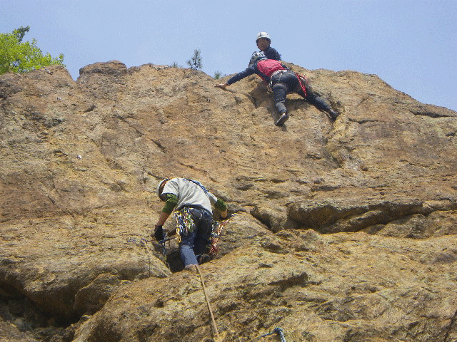 e0371039_9304767.gif
