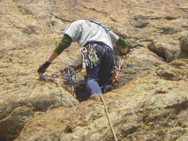 e0371039_9315362.gif