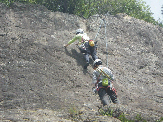 e0371039_932311.gif