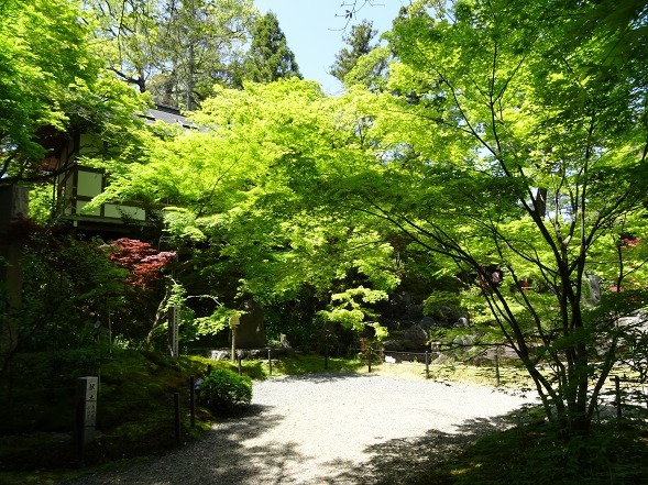 b0299042_09561600.jpg
