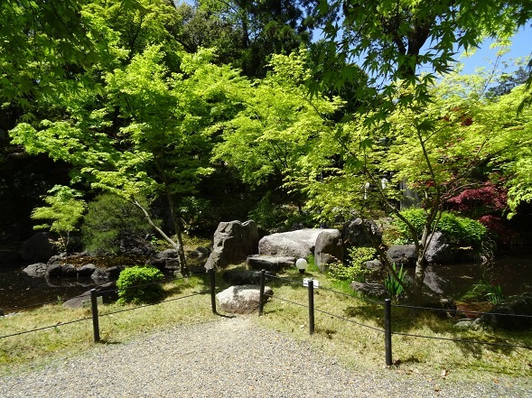 b0299042_09562853.jpg