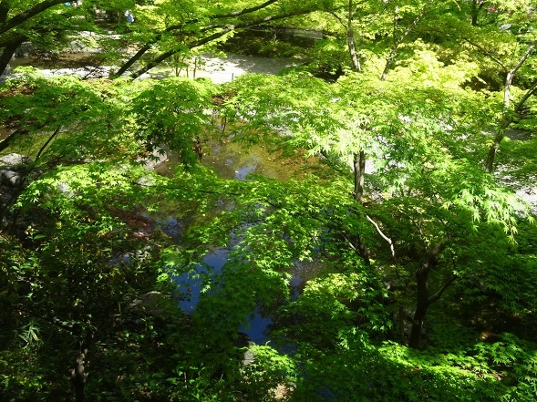 b0299042_09570416.jpg