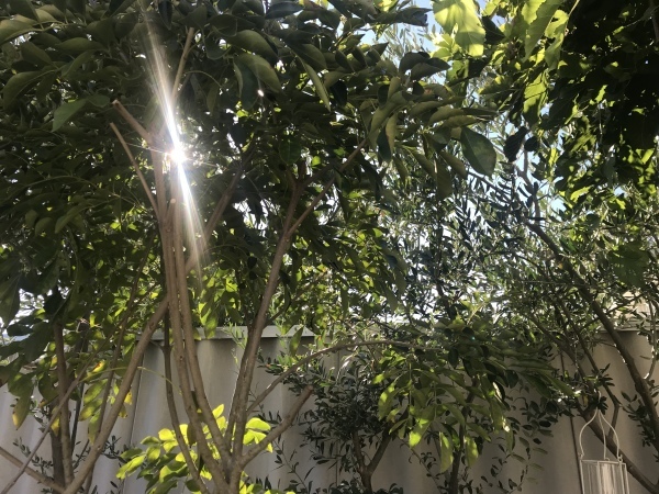 f0304452_18562286.jpeg