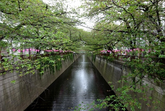 韓国のお友達と東京グルメツアー_f0201054_21380192.jpg