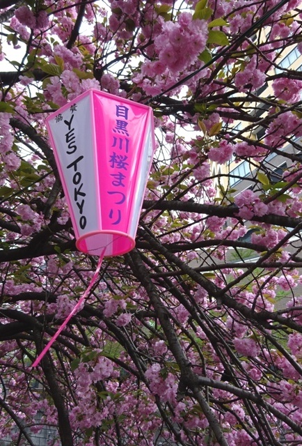 f0201054_21440904.jpg
