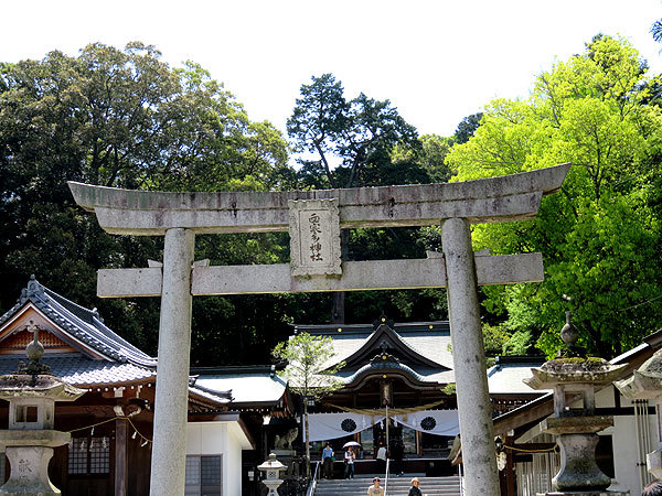 心癒される　西寒田神社の藤_f0224855_10015486.jpg