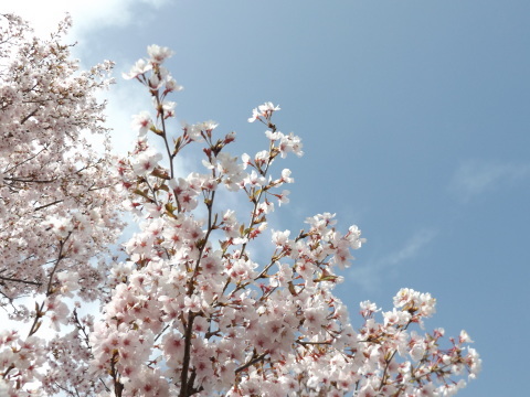 b0092858_21352449.jpg