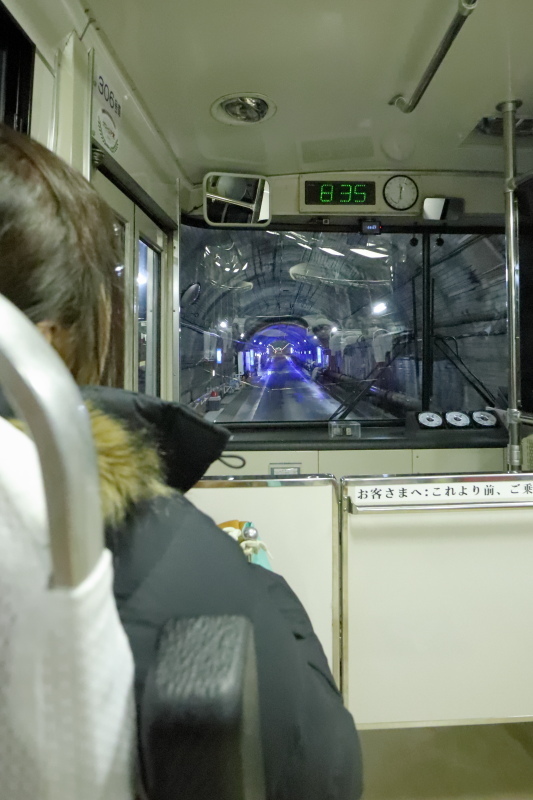 立山黒部アルペンルート その1_a0077663_08484968.jpg