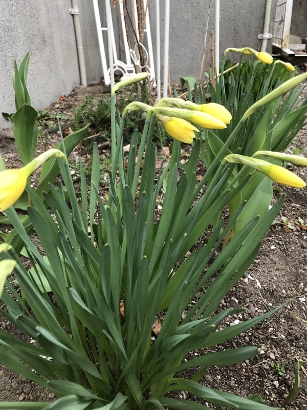d0320463_17234445.jpeg