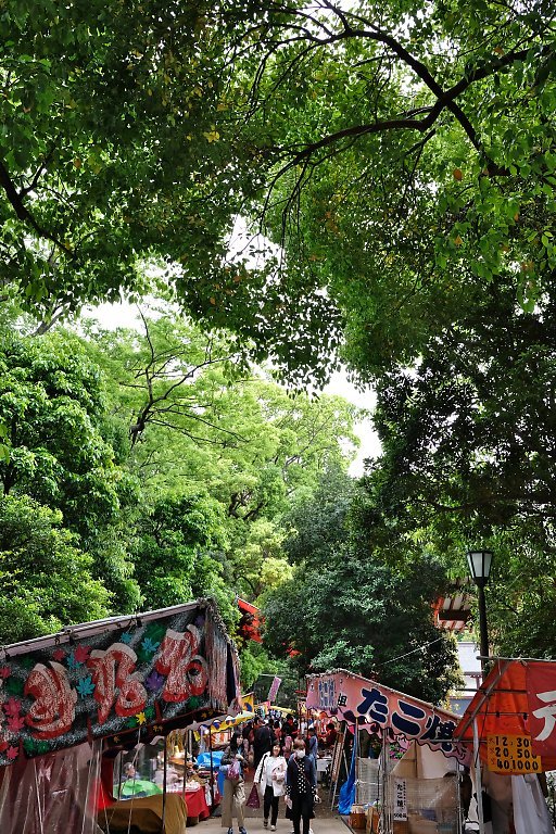 根津神社（４月２３日）_c0057265_15012831.jpg