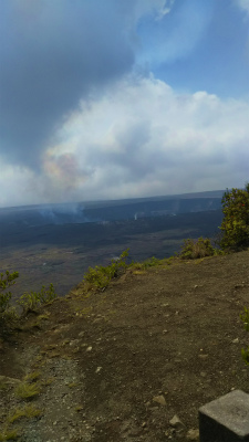 e0298866_485880.jpg