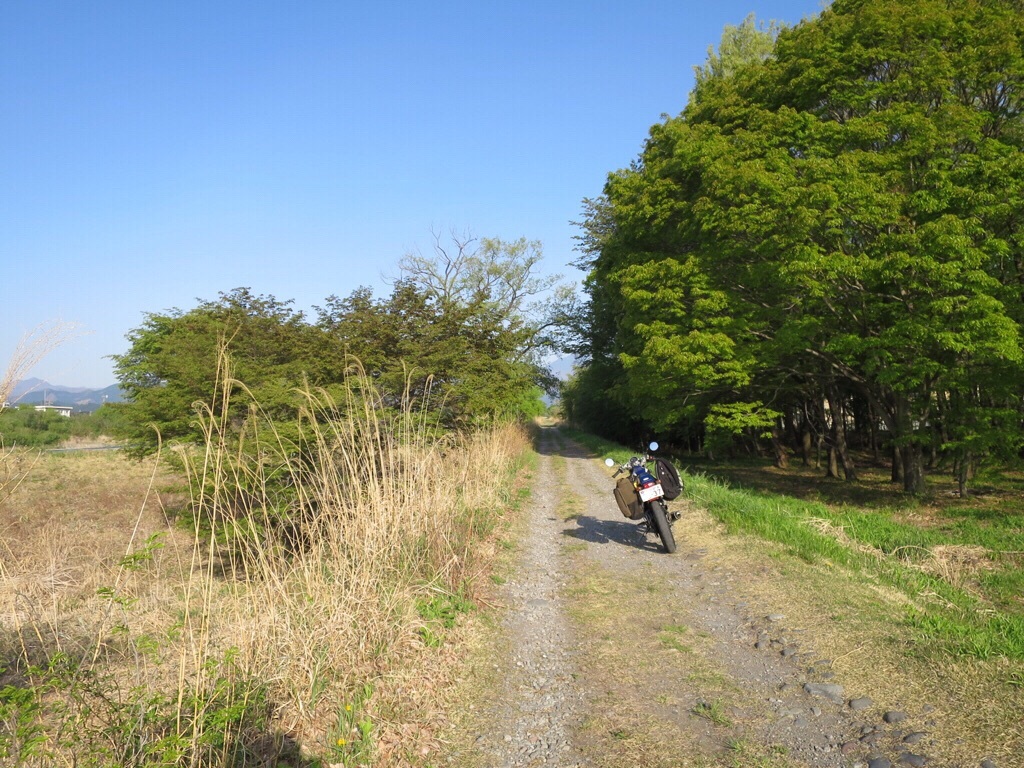 a0078772_21590029.jpg