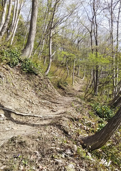 f0230777_21085040.jpg