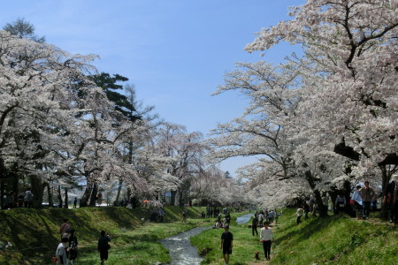 b0193480_15421968.jpg