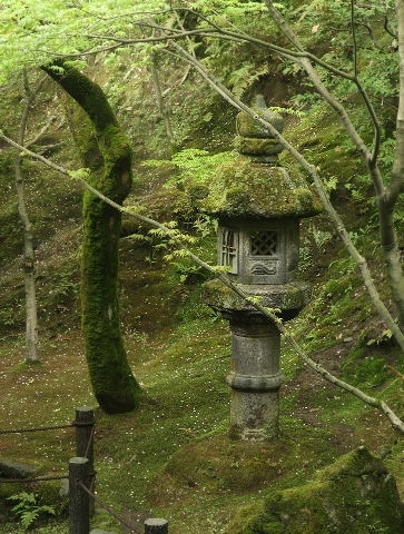 d0098183_18142807.jpg