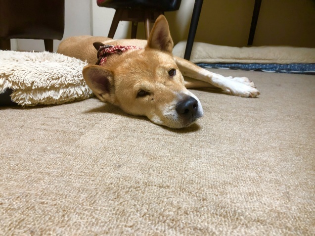 c0332184_22100468.jpeg