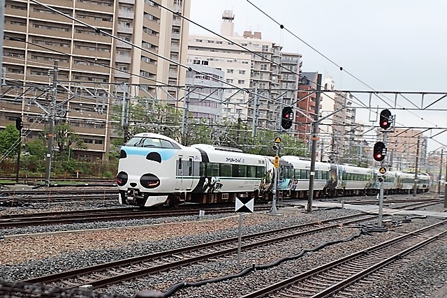 d0181492_15581770.jpg