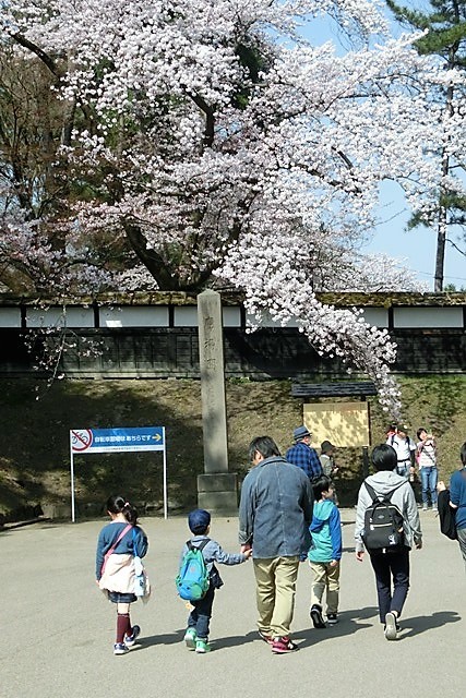 藤田八束の新型コロナ対策、神は人間に、国民に時として「試練」を与える…その答えは、試練ではない反省のという戒めに築くことではないか・・・東京オリンピックの開催_d0181492_23031140.jpg