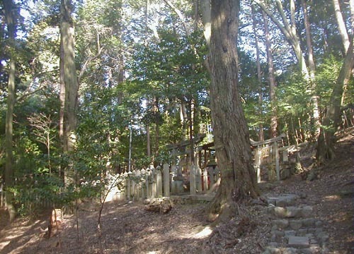 ●神社の造形―天神宮神社、その5_d0053294_01571473.jpg