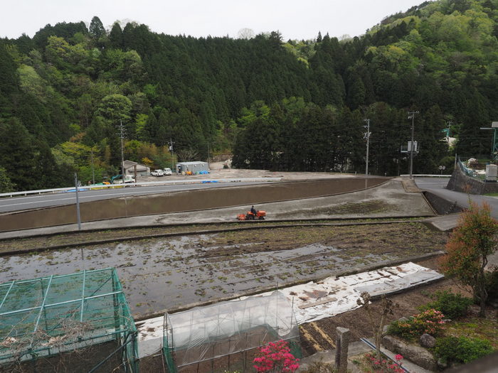 代掻き_c0116915_23504271.jpg