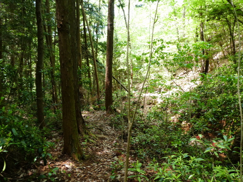 明王山 (380M)  　流れ星の滝 見学　_d0170615_19072377.jpg