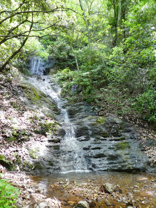 d0170615_19073926.jpg