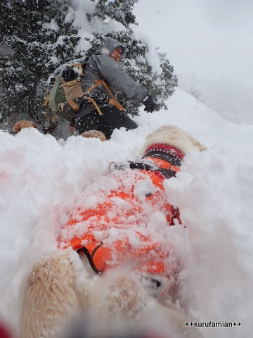 丹後半島で雪まみれ～_b0101116_12282787.jpg